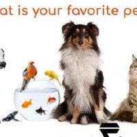 Do You Really Know What's in Your Pet's Food?