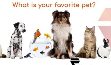 Pets & Animal: Going Scrimp? Buy Pet Medications Without Prescription!