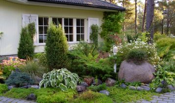 Home & Garden: Taking Care of Roof Moss