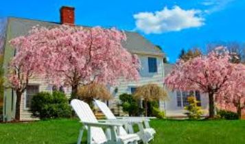 Home & Garden: Some Of The Most Common Landscape Design Features