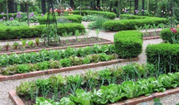 Home & Garden: Essential Garden Tools For The Avid Gardener