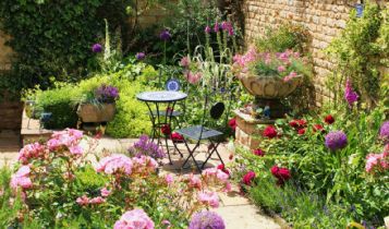 Home & Garden: The Best Time to Start Planting Flowers