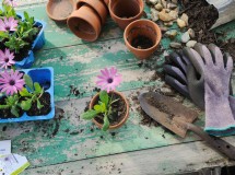 Home GrowGrowing Weed At Home With Hydroponics