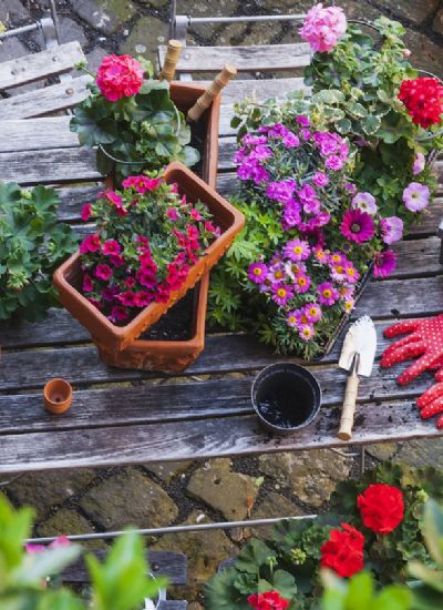 Eco-friendly Drain Cleaning