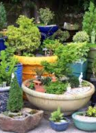 DIY Garden Landscaping