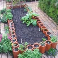 Improve the Quality of the Garden Soil