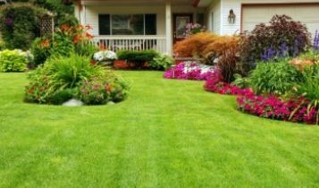 Home & Garden: DIY Storage Basement